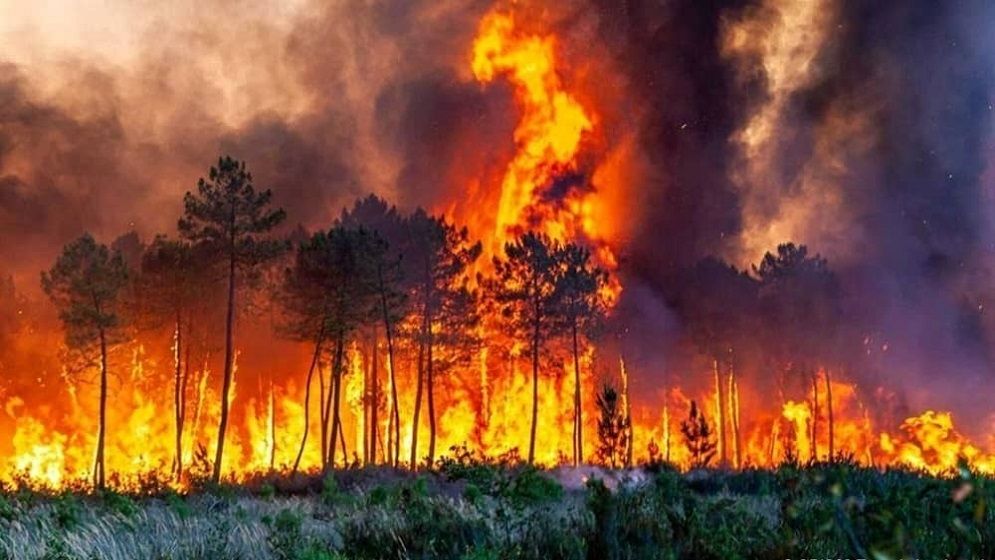 ভয়াবহ খরার মধ্যে ইরানে দাবানল, পুড়েছে ১৫০০ একর বনভূমি