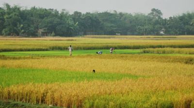 অবাধ ভূমি ব্যবহার বন্ধে ১৮ শ্রেণির জোনিং পদ্ধতি চালু হতে যাচ্ছে