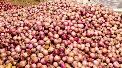 এক মাসে পেঁয়াজে সিন্ডিকেট হাতিয়ে নিয়েছে এক হাজার কোটি টাকা