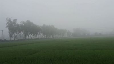 পঞ্চগড়ে বইছে হালকা শীতের হাওয়া