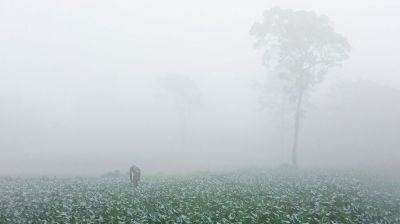 উত্তর-পশ্চিমে শীতের আগমন, ডিসেম্বরেই প্রথম শৈত্যপ্রবাহের সম্ভাবনা