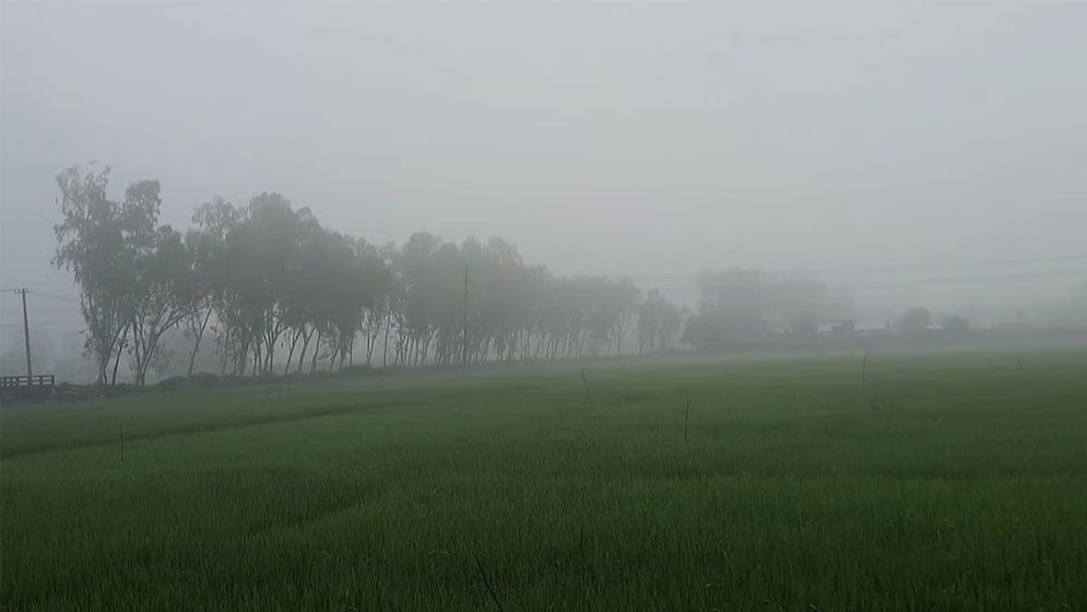 পঞ্চগড়ে তাপমাত্রার পারদ নামল ১৩ ডিগ্রিতে