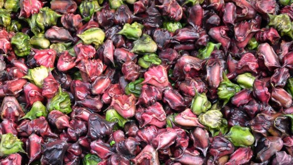 পানিফলের নানা উপকারিতা