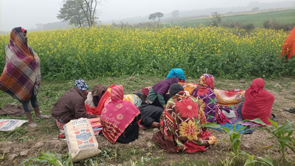 দৌলতপুর সীমান্ত দিয়ে ১৪ ভারতীয় নাগরিককে পুশইন চেষ্টায় ব্যর্থ বিএসএফ