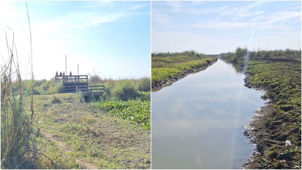 বিল ভরাটে সর্বস্ব হারিয়ে মানবেতর জীবনযাপন জেলেদের, ইজারা বাতিলের দাবি