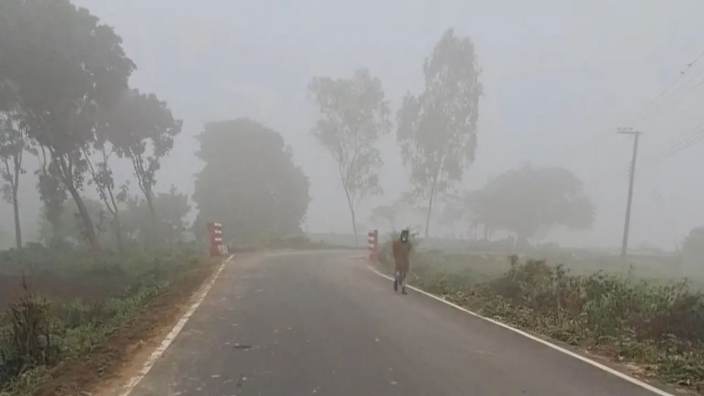 মৃদু শৈত্যপ্রবাহে কাবু তেঁতুলিয়ার মানুষ