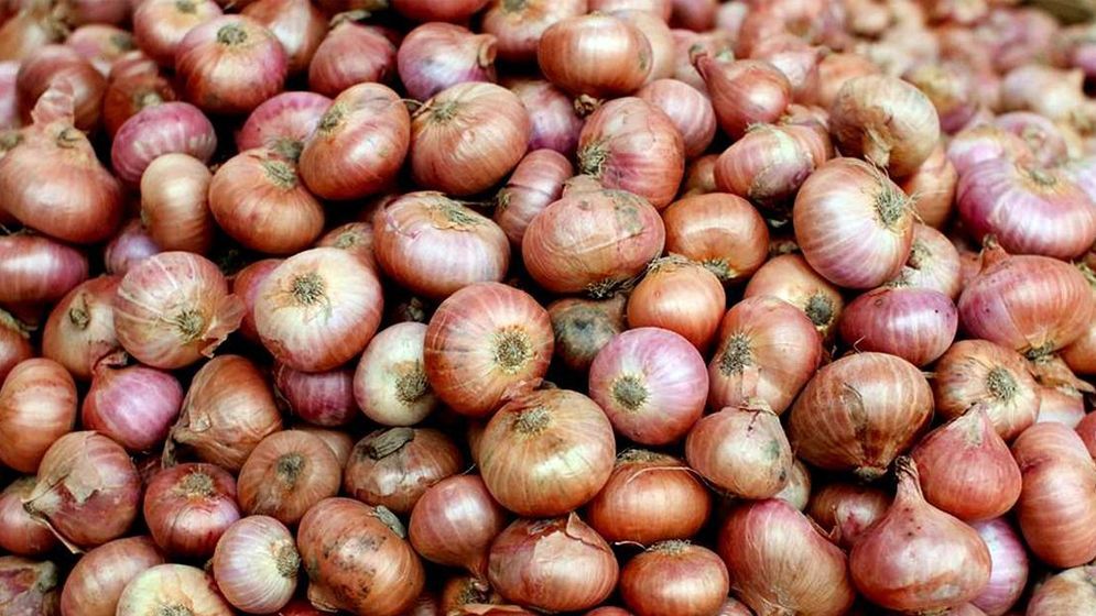 ‎পেঁয়াজের বাজারে স্বস্তির হাওয়া