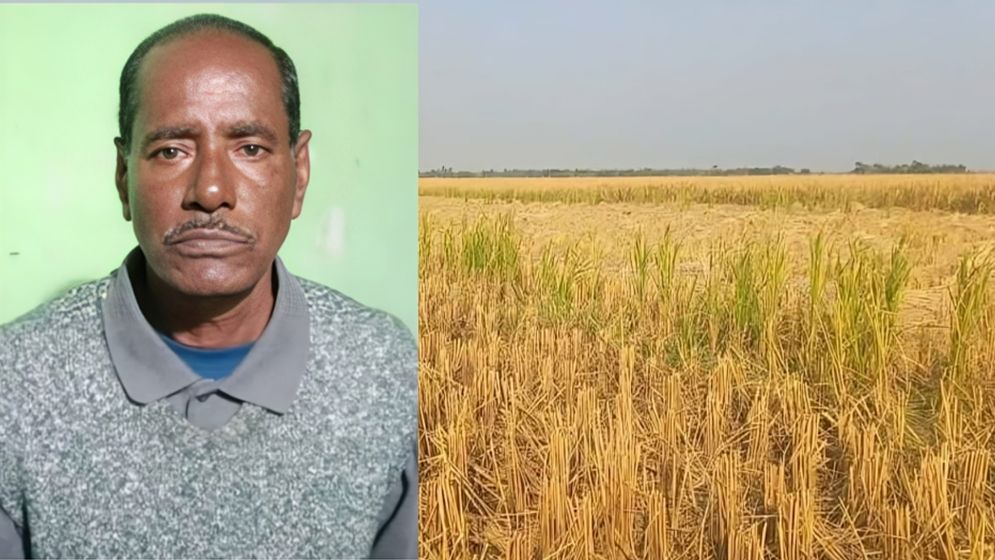 ​পাইকগাছায় কৃষকের ধান কেটে নেওয়ার অভিযোগ বিএনপি নেতার বিরুদ্ধে