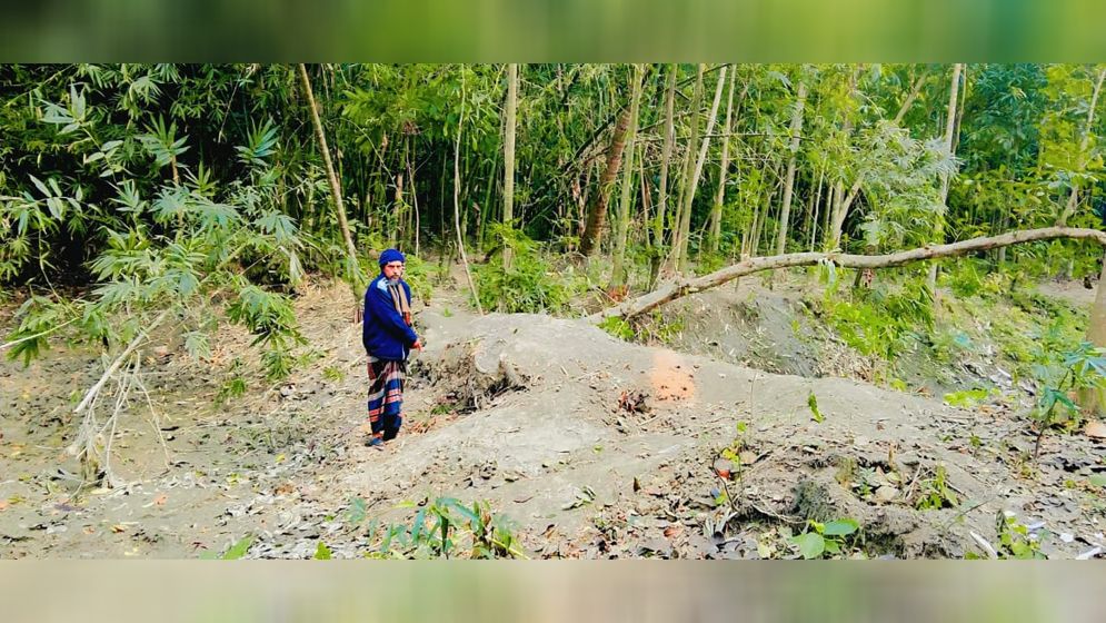 পাইকগাছায় আদালতের নিষেধাজ্ঞা উপেক্ষা করে লক্ষাধিক টাকার গাছ কর্তন