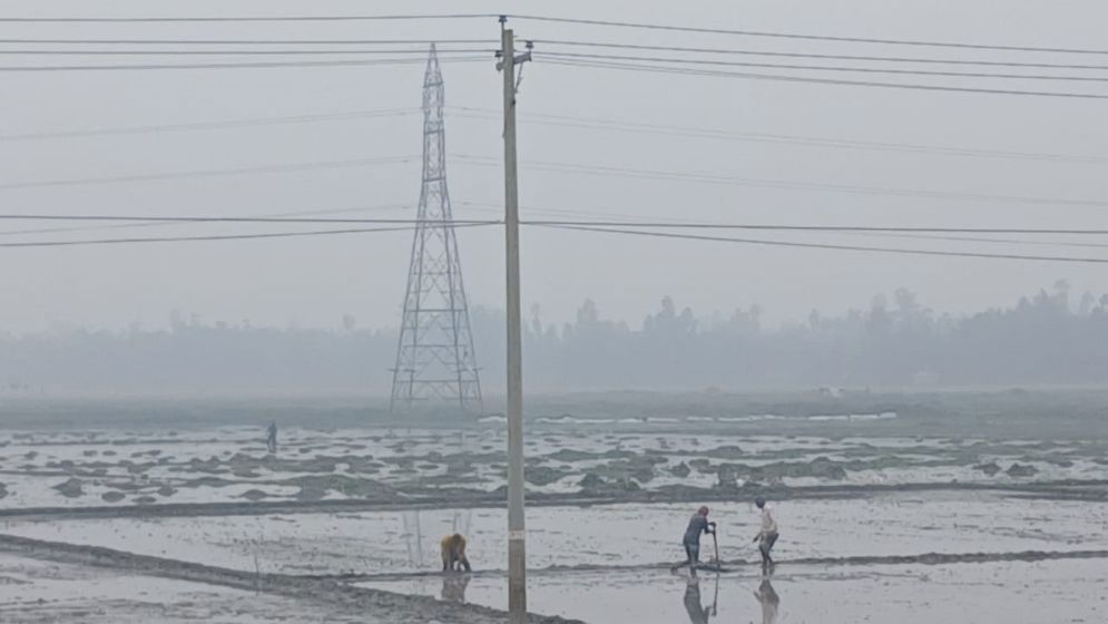 কুড়িগ্রামে ঘন কুয়াশা ও তীব্র শীতে বিপর্যস্ত জনজীবন