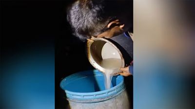 চট্টগ্রাম বিশ্ববিদ্যালয় ক্যাম্পাসে মদ তৈরির কারখানা, গ্রেফতার এক