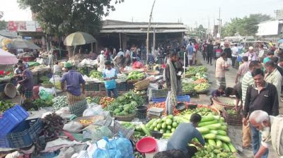 শেরপুরে সবজির বাজারে ধস! ক্ষতির মুখে কৃষক