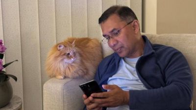 তারেক রহমানের সঙ্গে আসছে সেই বিড়াল