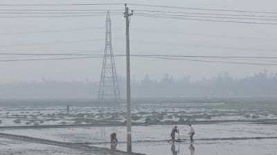 কুড়িগ্রামে ঘন কুয়াশা ও তীব্র শীতে বিপর্যস্ত জনজীবন