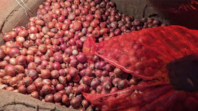 আমদানির খবরে রাতারাতি পেঁয়াজের দাম কমল ২৫ টাকা