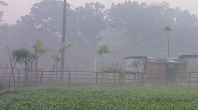 তেঁতুলিয়ায় এক সপ্তাহ ধরে বইছে মৃদু শৈত্যপ্রবাহ