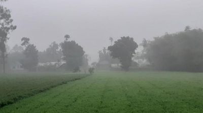 ঘন কুয়াশা ও হিমেল বাতাসে কাঁপছে চুয়াডাঙ্গা, তাপমাত্রা নামল ১১.৭ ডিগ্রিতে