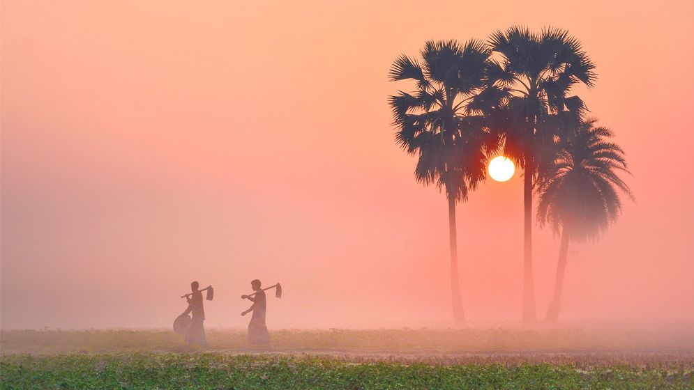 সারাদেশে তাপমাত্রা কমতে পারে: আবহাওয়া অধিদপ্তর