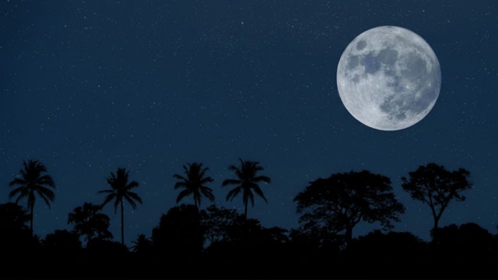 আজ বছরের সবচেয়ে ছোট দিন আর দীর্ঘতম রাত