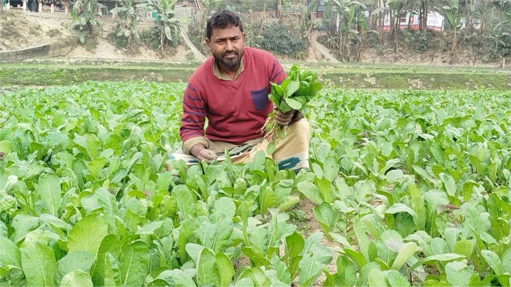 করতোয়ার জেগে ওঠা চরে সবজি চাষে ভাগ্য বদল