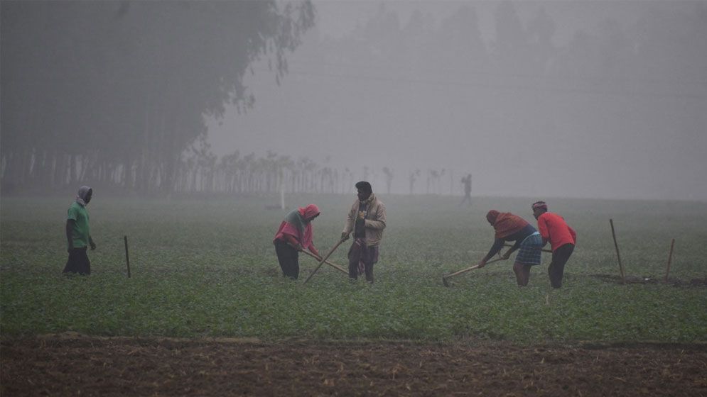 তীব্র শীতে নাকাল উত্তরবঙ্গ, অর্ধেকে নেমেছে শ্রমজীবীদের আয়