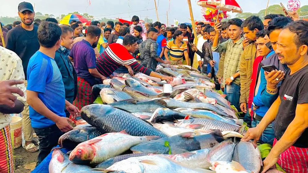 পৌষ সংক্রান্তিতে বিনীরাইলে ২৫০ বছরের ‘জামাই মেলা’