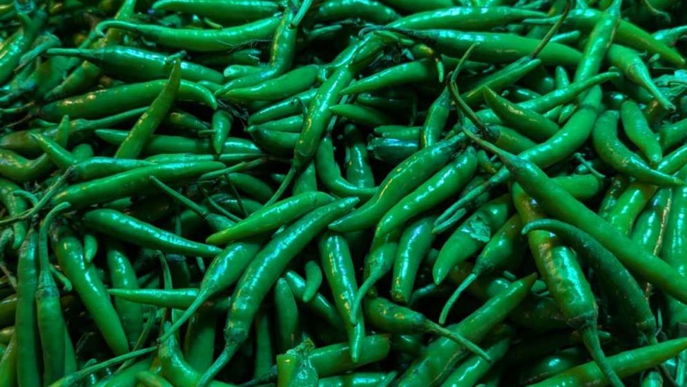 ভাতের সঙ্গে কাঁচামরিচ শরীরের জন্য কতটা উপকারি?