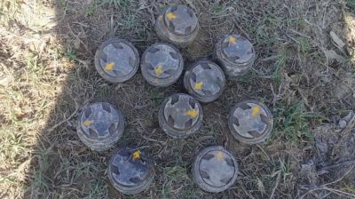 টেকনাফ সীমান্তে ১০টি স্থলমাইনের চাপ প্লেট উদ্ধার