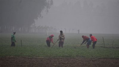 তীব্র শীতে নাকাল উত্তরবঙ্গ, অর্ধেকে নেমেছে শ্রমজীবীদের আয়
