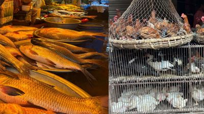 ডিমের দামে স্বস্তি, চড়া মাছ আর স্থির মুরগিতে চাপেই বাজার