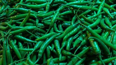 ভাতের সঙ্গে কাঁচামরিচ শরীরের জন্য কতটা উপকারি?