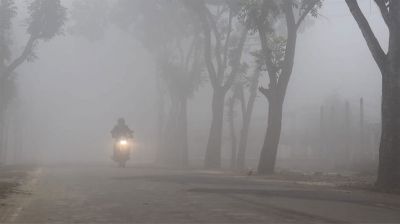 তেঁতুলিয়ায় ঘন কুয়াশা ও হিমেল বাতাসে জেঁকে বসেছে শীত, জনজীবনে ভোগান্তি