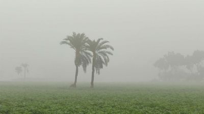 শৈত্যপ্রবাহে কাঁপছে চুয়াডাঙ্গা, তাপমাত্রা নামল ৮ ডিগ্রিতে