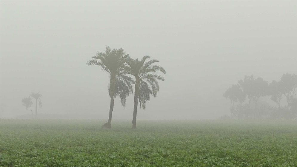 শৈত্যপ্রবাহে কাঁপছে চুয়াডাঙ্গা, তাপমাত্রা নামল ৮ ডিগ্রিতে
