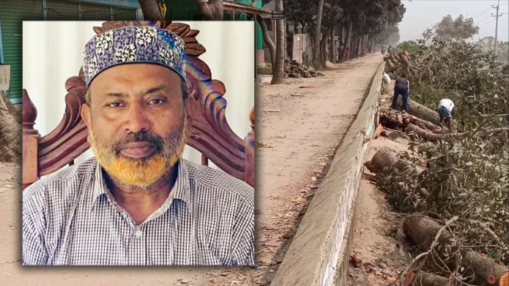বেড়িবাঁধের গাছ কাটায় সেই বিএনপি নেতা গ্রেপ্তার