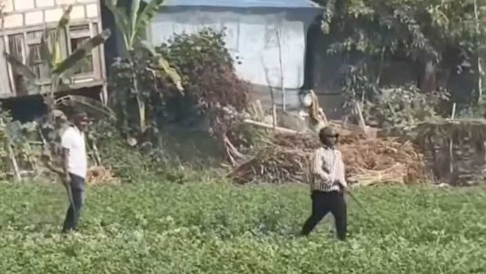 বিএনপি ও স্বতন্ত্র প্রার্থীর সমর্থকদের সংঘর্ষ, গুলিবিদ্ধ ২