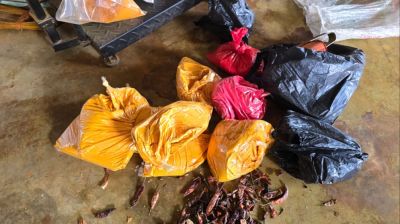 বগুড়ায় রং মিশিয়ে মরিচ-হলুদ গুড়া তৈরি, ব্যবসায়ীকে জরিমানা ও কারাদণ্ড