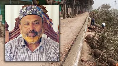 বেড়িবাঁধের গাছ কাটায় সেই বিএনপি নেতা গ্রেপ্তার