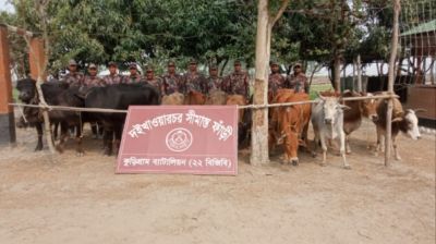 কুড়িগ্রামে বিজিবির অভিযানে ৪৬ লাখ টাকার চোরাচালান পণ্য জব্দ