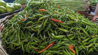 রাজধানীতে লেবু ও কাঁচা মরিচের দাম কমেছে