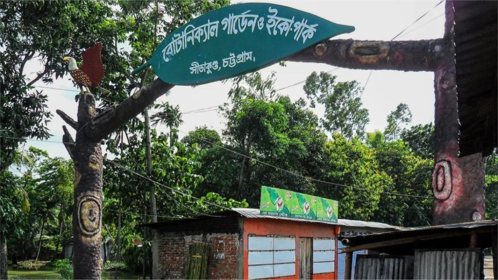 গলাকাটা অবস্থায় জঙ্গলে হাঁটছিল শিশু