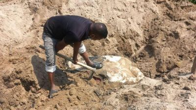 ঝুঁপড়ি ঘরের নিচে মাটি চাপা বন্যহাতির মরদেহ