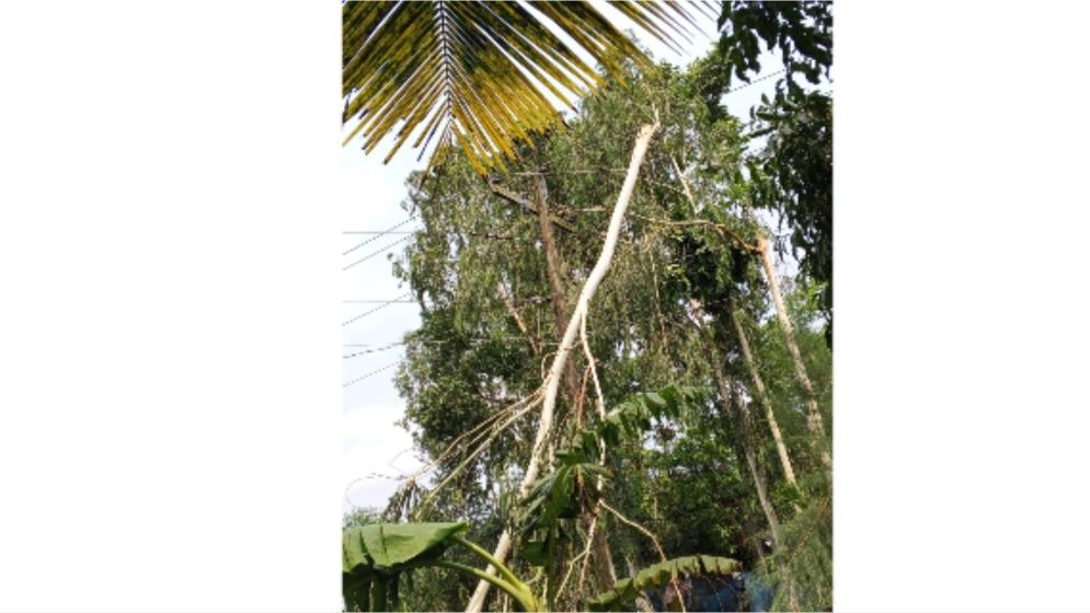 মনোহরগঞ্জে কালবৈশাখীর তাণ্ডবে বিদ্যুৎহীন পুরো এলাকা