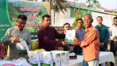 চা শ্রমিকরা দেশের সম্পদ, তাদের জীবনমান উন্নয়ন জরুরি : ডিসি জাহিদ