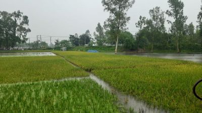 কুড়িগ্রামে ২৪ ঘণ্টায় ১৮৪ মিমি বৃষ্টিপাত