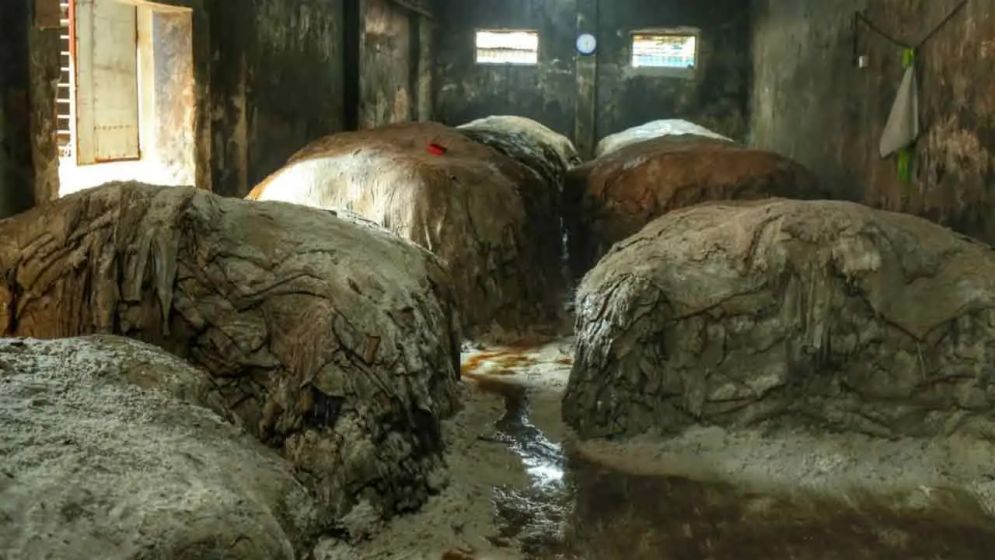 দুই হাজার টাকার চামড়া বিক্রি হচ্ছে ৫০০ টাকায়