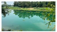 ফুলজোড়-করতোয়া-বাঙালি নদী দূষণ বন্ধে হাইকোর্টের রুল