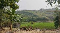 সীমান্তে মাইন বিস্ফোরণে ৩ বাংলাদেশি নিহত