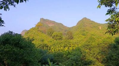 টেকনাফের গহীন পাহাড়ে যৌথ অভিযান, অপহৃত ৪ তরুণ উদ্ধার