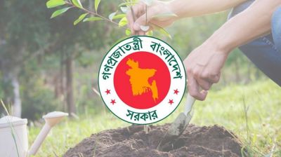 ২৫ কোটি গাছ রোপণ করে বিলিয়ন ডলার আয় করতে পারে বাংলাদেশ